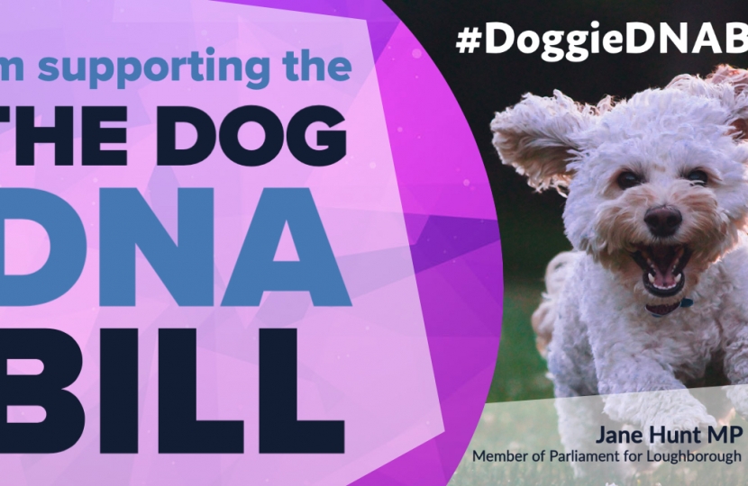 Doggie DNA Bill