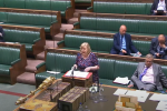 Jane speaking at the despatch box on this issue